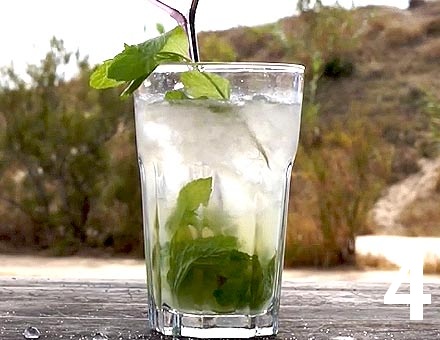 th-preparacion-mojito-cubano-paso-4.jpg